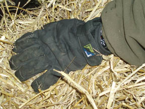 Sealskinz gloves