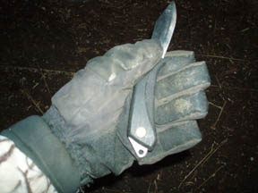 Sealskinz gloves