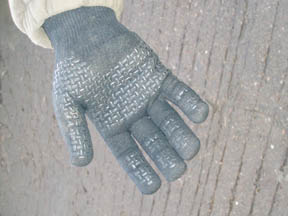 Sealskinz gloves