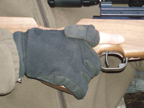 Sealskinz gloves