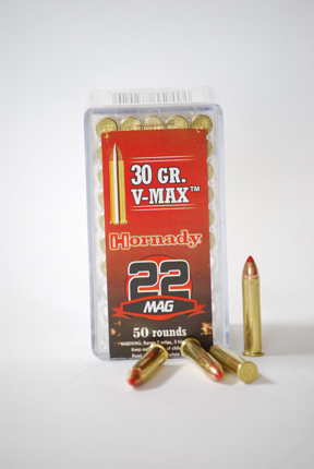 22+magnum+rifle+bullet