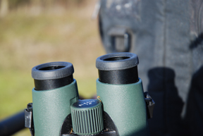 Swarovski new EL 8.5x42 bincoculars