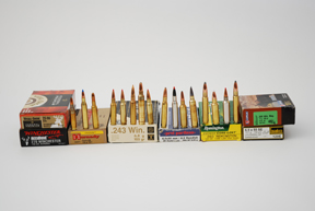 Hunting Ammunition and Calibres