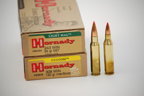 Hunting Ammunition and Calibres