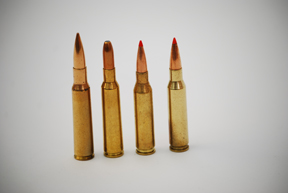 Hunting Ammunition and Calibres