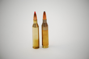 Hunting Ammunition and Calibres