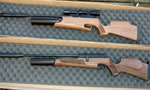  Reviews: Theoben Rapid 17 MkII v BSA Superten MK3