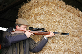 Air Arms TX200 vs the Weihrauch HW97K