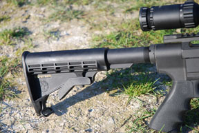 Ruger SR22RSC
