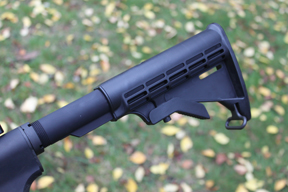 Ruger SR-22