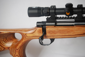 Howa 1500 Dream It… Build It