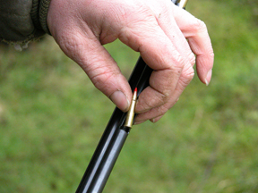 Henry 17HMR Lever-action
