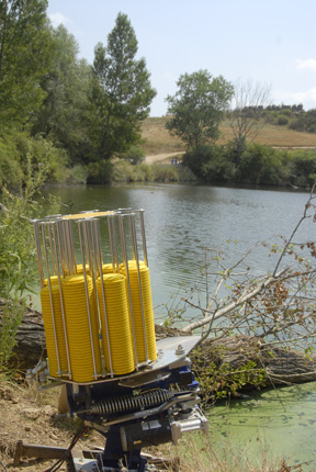 Reading a clay pigeon course of fire