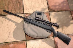 Gamo CFX air rifle