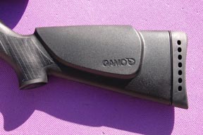 Gamo CFX air rifle