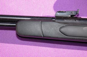 Gamo CFX air rifle