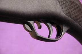 Gamo CFX air rifle