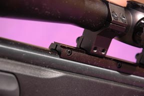Gamo CFX air rifle