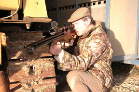 Falcon Prairie B Walnut Profile