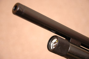Falcon Prairie B Walnut Profile