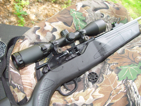 CO2 powered Umarex 850 Airmagnum