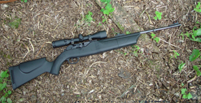 CO2 powered Umarex 850 Airmagnum