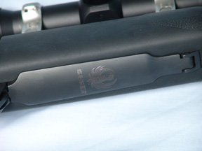 Ruger M77 Hawkeye