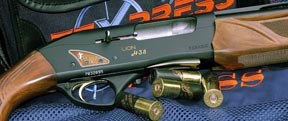 Fabarm Lion H38 Hunter