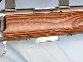 Savage Model 93R17-BTVS