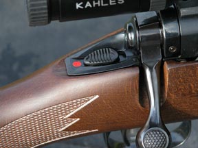 Savage Model 11GCNS