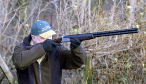 Fausti Merlin