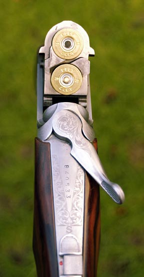 Fausti Merlin