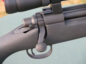 Remington 700 LTR