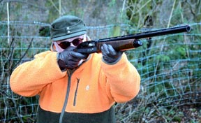 Webley & Scott 812