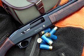 Webley & Scott 812