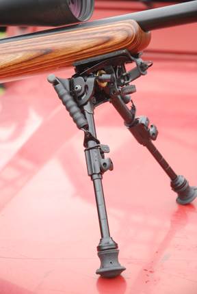 CZ 455 Thumbhole Varmint Carbine
