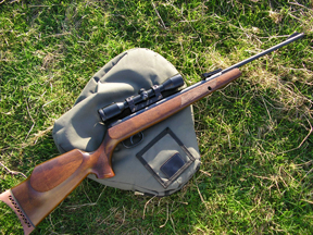 Choosing an air rifle for juniors