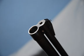 Baikal Sever combination and IZH1/8 rifle