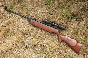 Air Arms Pro-Sport and the Weihrauch HW80