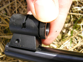 Air Arms Pro-Sport and the Weihrauch HW80