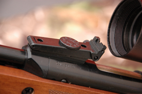 Diana 430 Stutzen