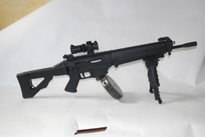 SIG/SAUER 522