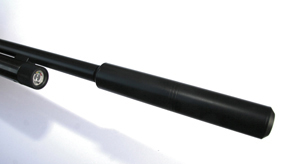 Falcon Prairie Bm Lighthunter