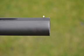 Beretta ES100