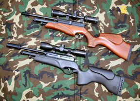 BSA Ultra MS PCP