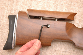 Theoben’s Rapid Tactical TTR1