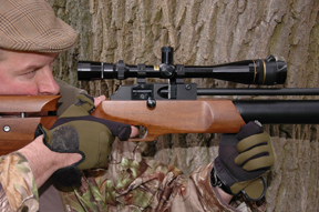 Theoben’s Rapid Tactical TTR1