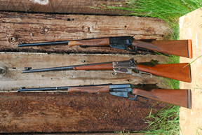 Winchester 1895