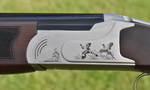 Shotgun Reviews: Morgan 20 bore