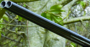 Webley & Scott 2000 side by side